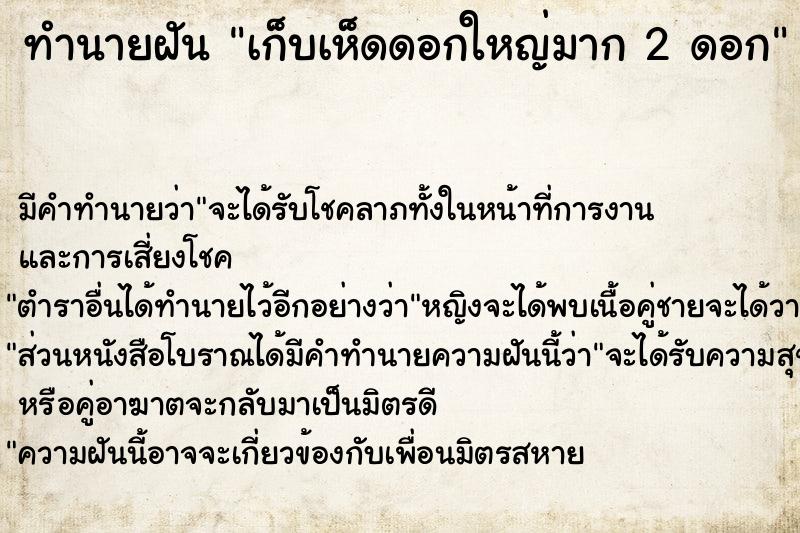 ทำนายฝัน เก็บเห็ดดอกใหญ่มาก 2 ดอก